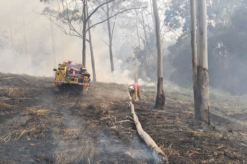 Rural firefighters clean up smouldering tree trunks in bushfire-ravaged forest.