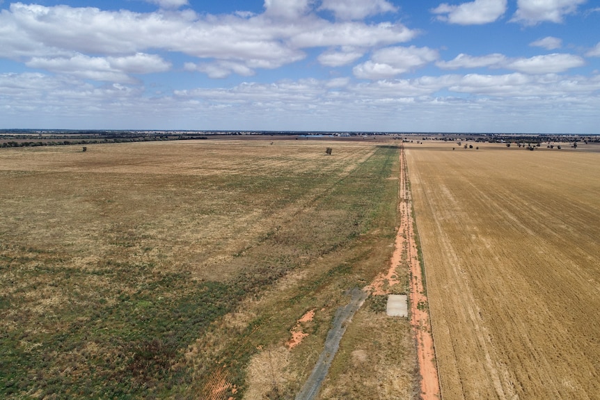 A drone image of a disused paddock growing weeds, next to a functioning grain paddock.