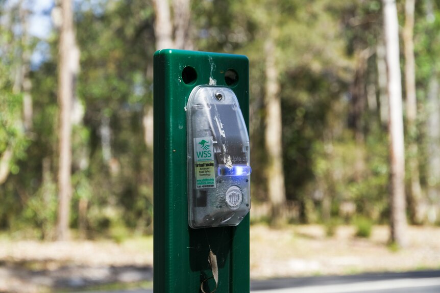 A green post with a device fastened to it with a blue light