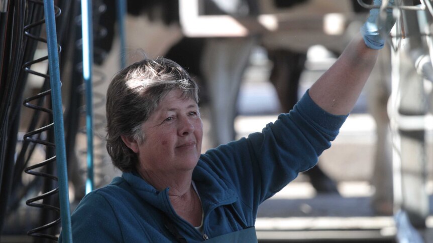 MCU of Donna Clarke in the milking shed with her left arm raised and resting on some machinery