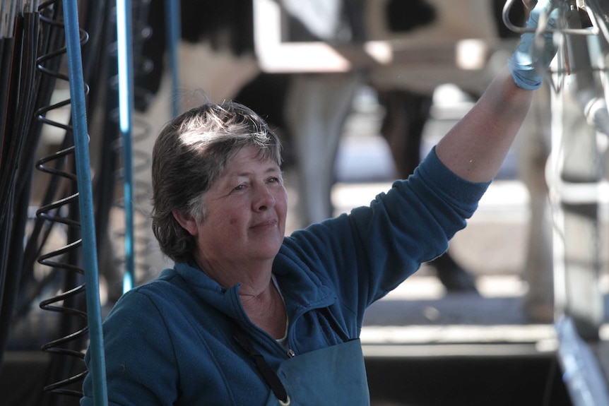 MCU of Donna Clarke in the milking shed with her left arm raised and resting on some machinery