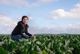 A woman squats down in a crop