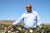 A man with a long-sleeved shirt stands next to a cotton crop.