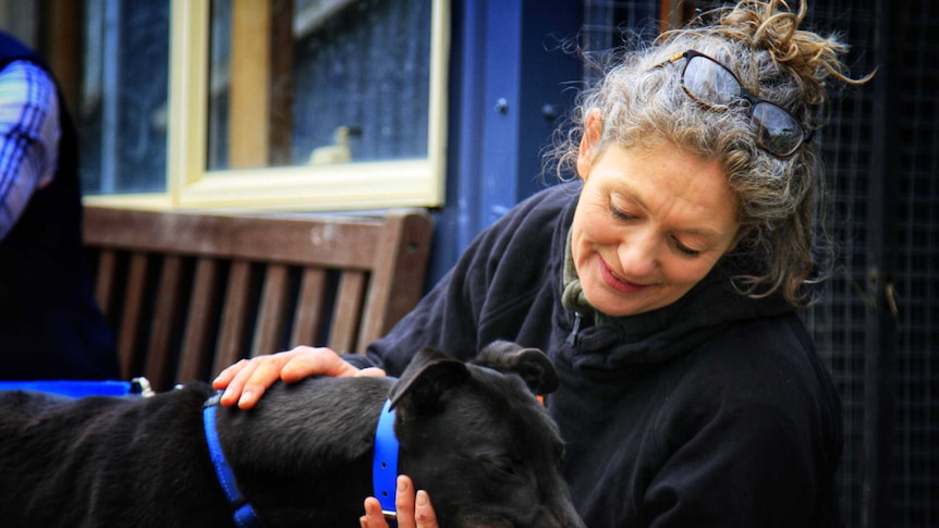Emma Haswell at Brightside Sanctuary pats a dog.