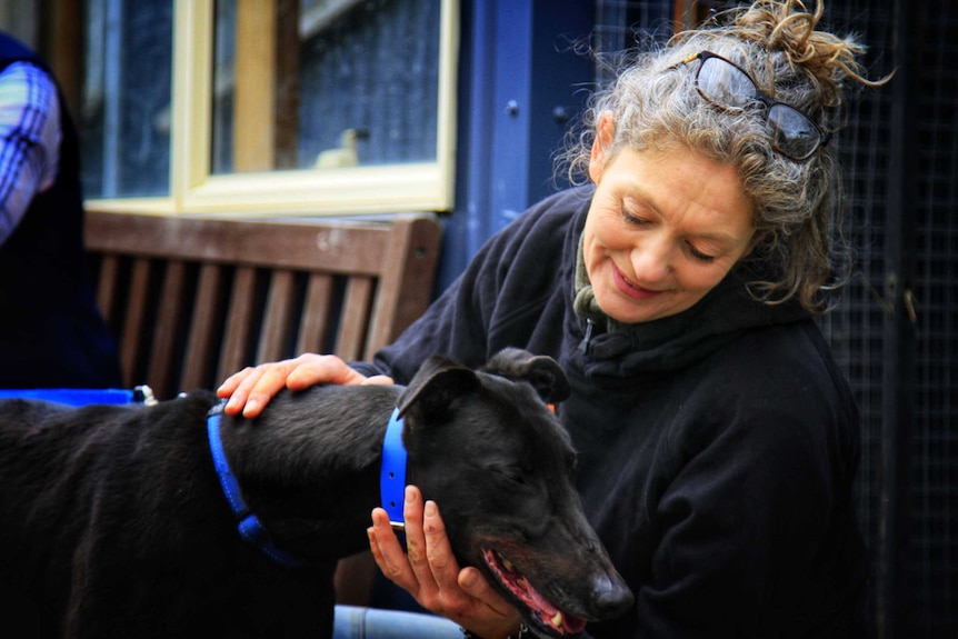Emma Haswell at Brightside Sanctuary pats a dog.