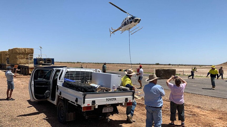 Helicopter arrives to lift fodder to flood-stricken graziers