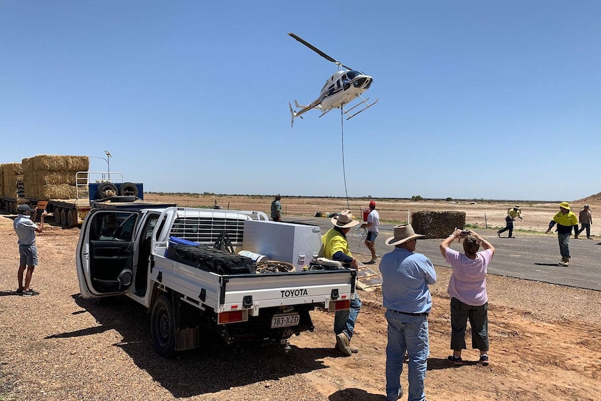 Helicopter arrives to lift fodder to flood-stricken graziers