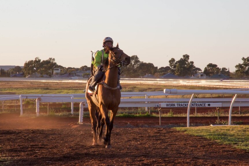 Morning track work at the Kalgoorlie-Boulder Racecourse.