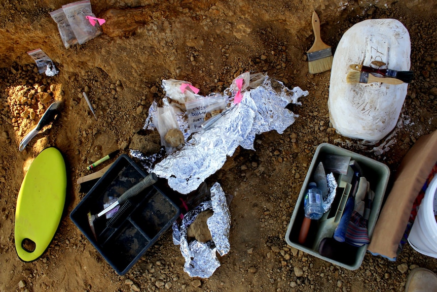 Overhead shot of digging tools laid out, alfoil, a plaster jacket, a box of equipment
