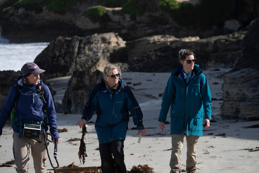 Three female researchers on a beach