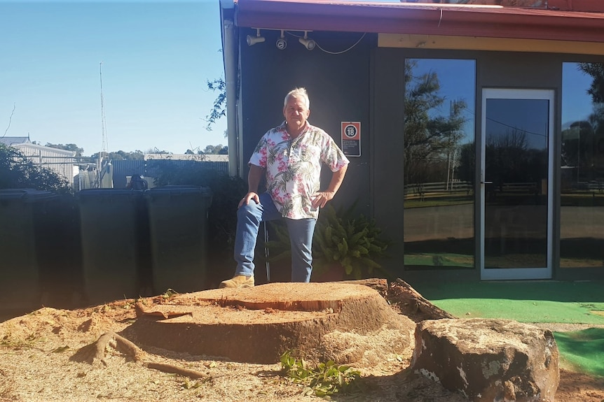 David Fahey stands at the site of the former kurrajong tree, with one boot raised on the stump.