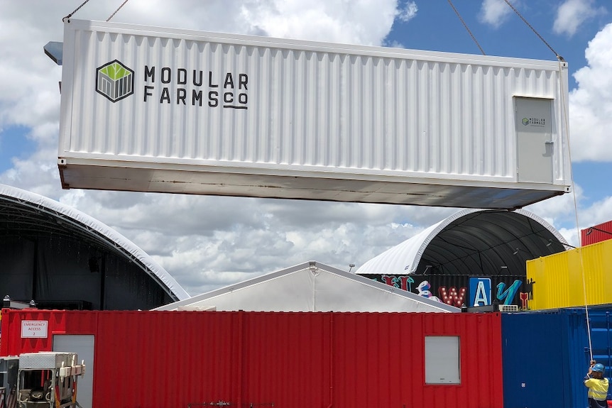 The shipping container farm is lowered on top of another shipping container at Brisbane's Eat Street Northshore markets.