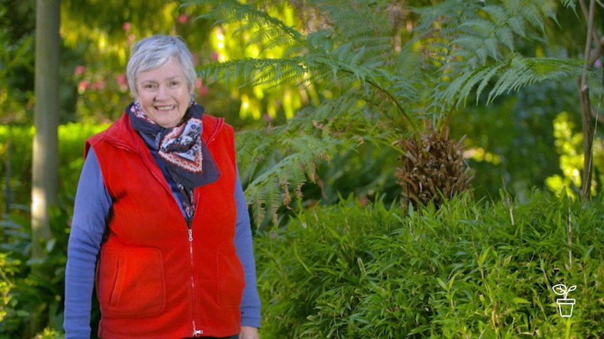 Lady wearing red vest and scarf standing in garden next to fern