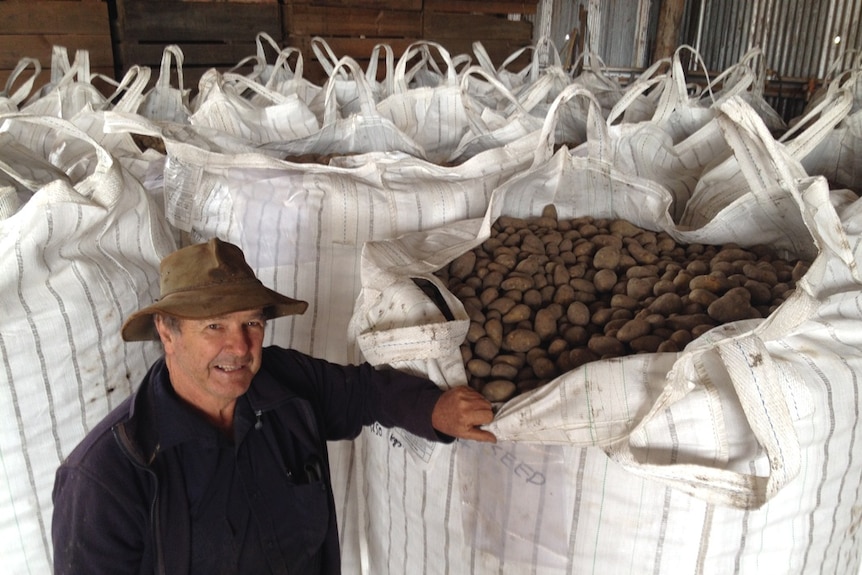 It's been a tough few years for potato producers on the Atherton Tableland