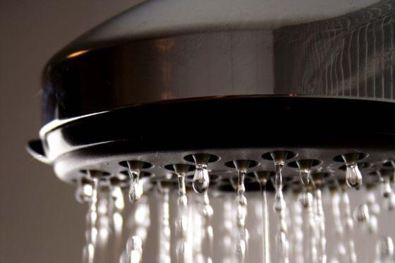 A close-up image of a shower head.