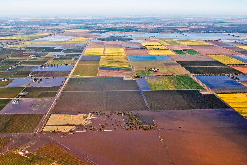 Farmland around the flood-affected NSW town of Yenda