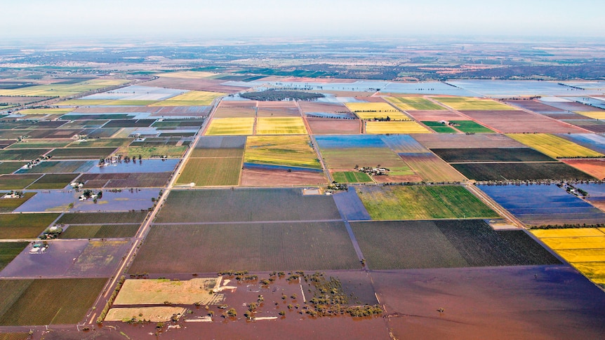 Farmland around the flood-affected NSW town of Yenda