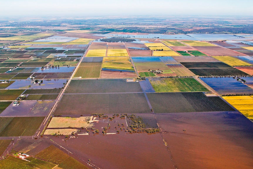 Farmland around the flood-affected NSW town of Yenda