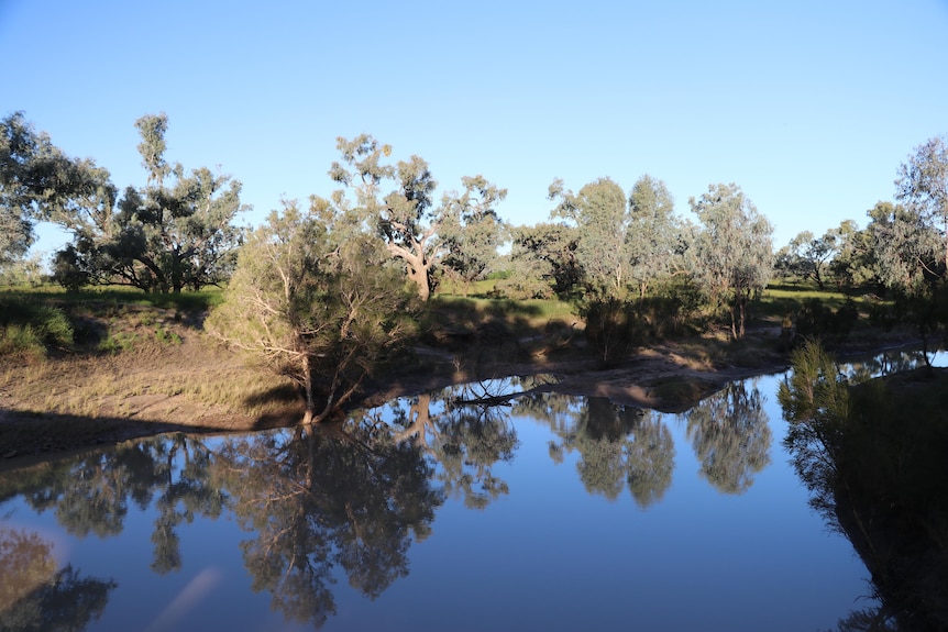 A creek with blue water and green trees on the edges.