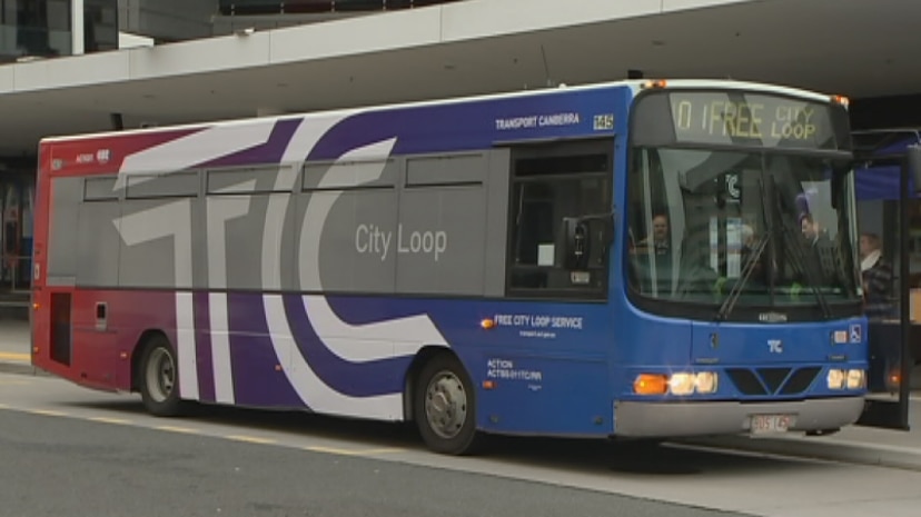 Free city loop bus