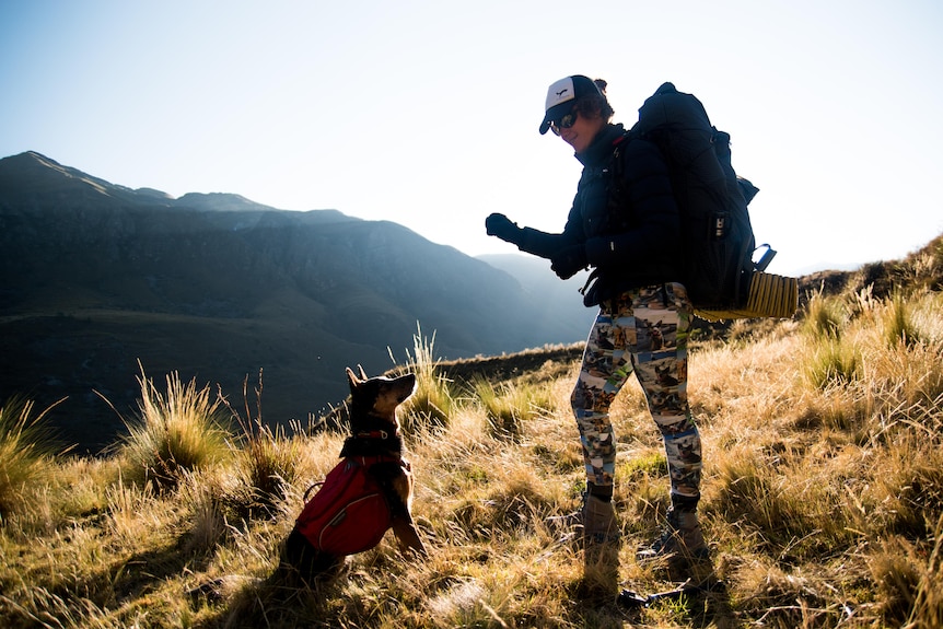 A woman with a backpack on raises her hand to a dog sitting on the ground. 