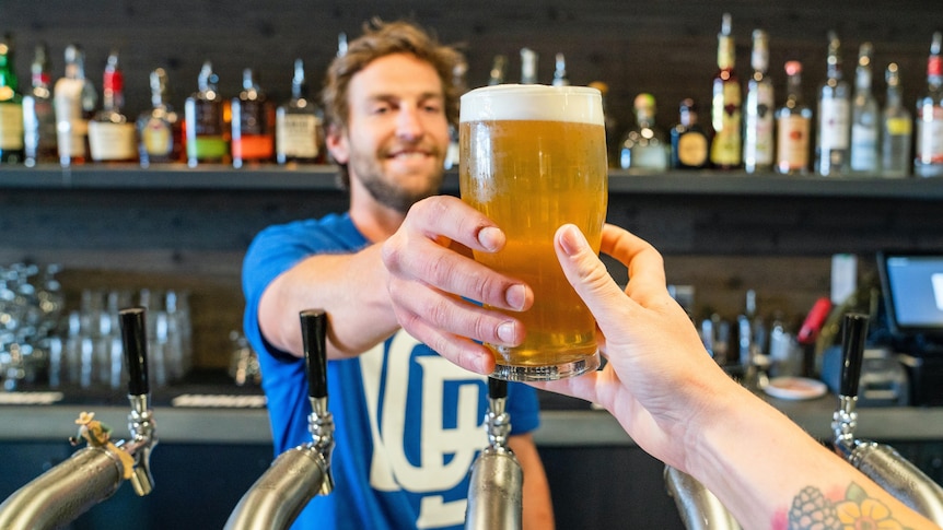 A male bartender hands a hand a pint of tap beer.