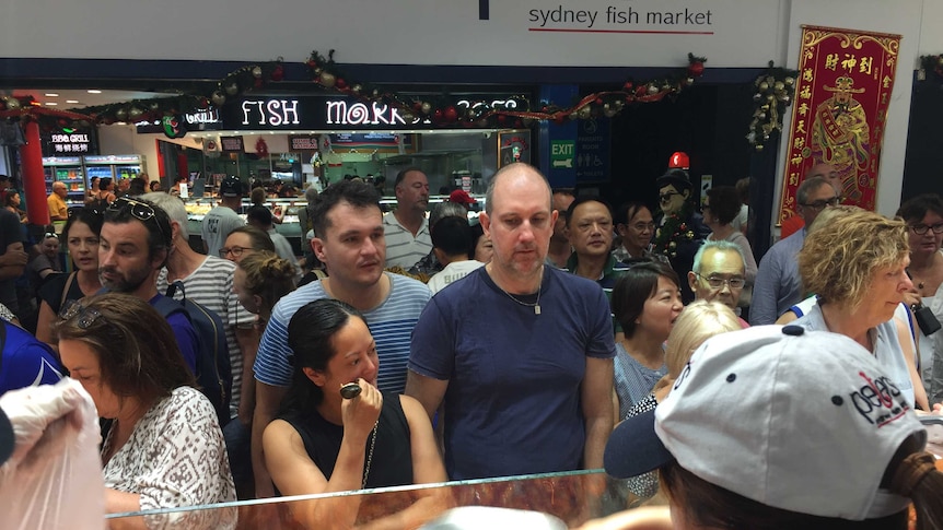 Sydney fish Market prawns