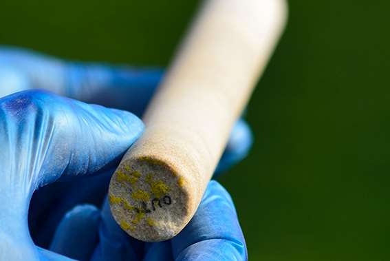 A blue gloved hand holds one of the core from Stonehenge.