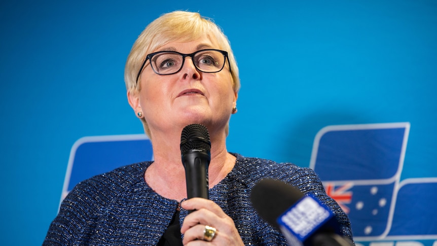 WA Liberal senator and former defence minister Linda Reynolds to quit politics
