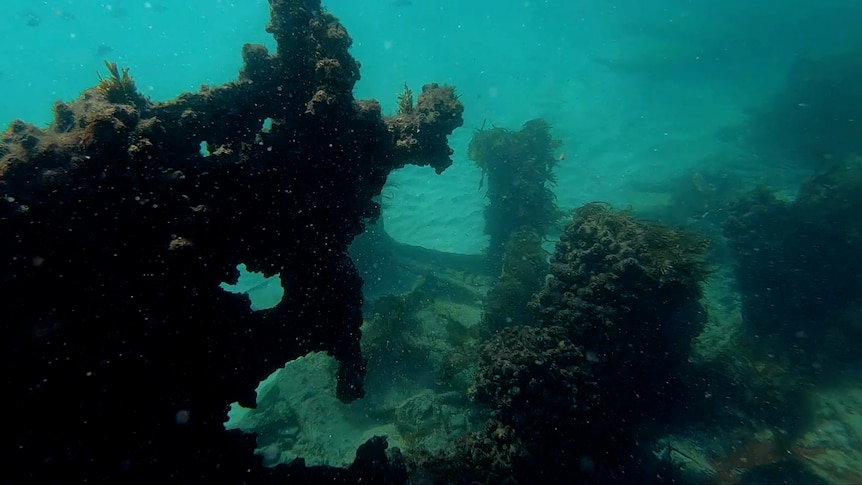 An underwater image with part of a shipwreck and fish