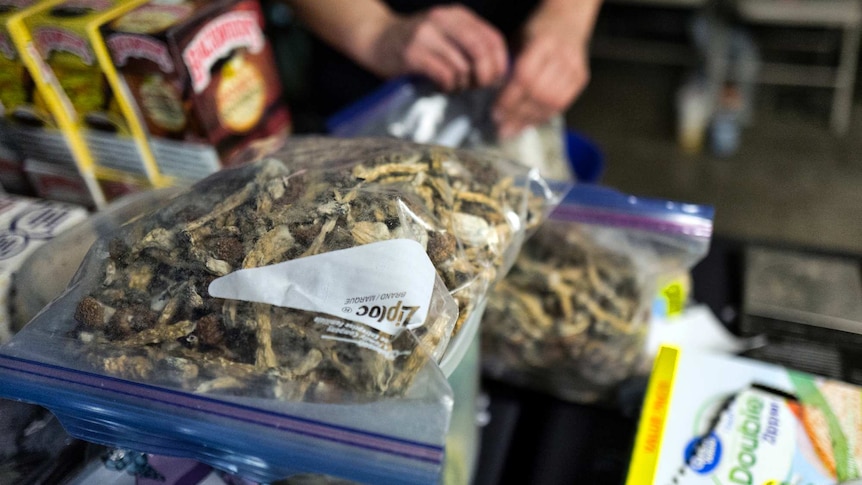 A vendor bags psilocybin mushrooms at a pop-up cannabis market in Los Angeles