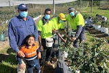 A farmer stands with his young son next to a group of pacific island works picking blueberries