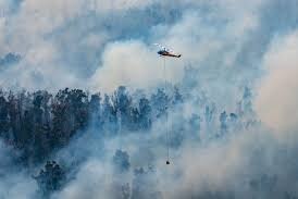 A helicopter waterbombing a large fire in bushland.