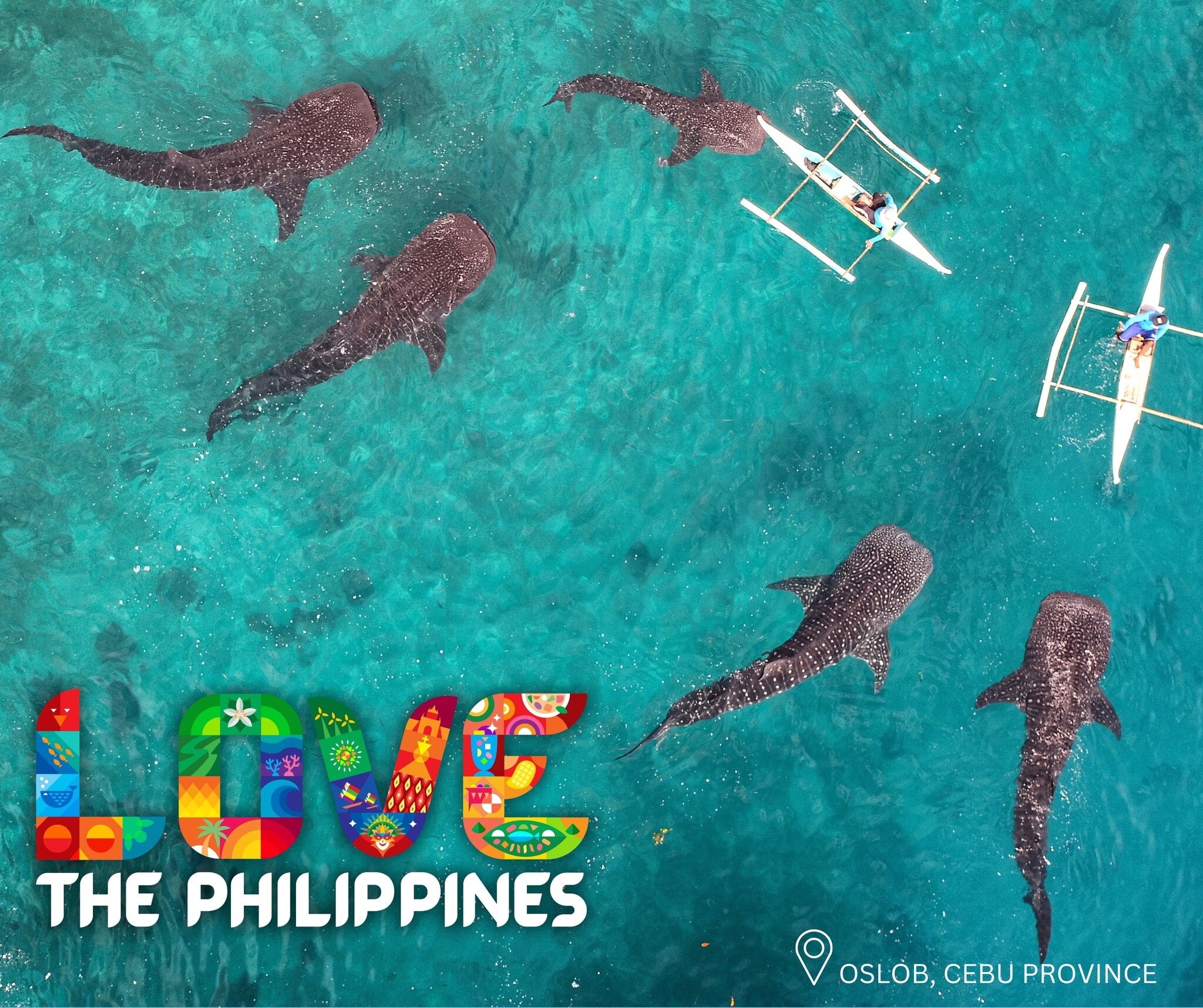 An aerial view of catamarans and large whales in clear blue-green water with colourful 'Love the Philippines' logo.