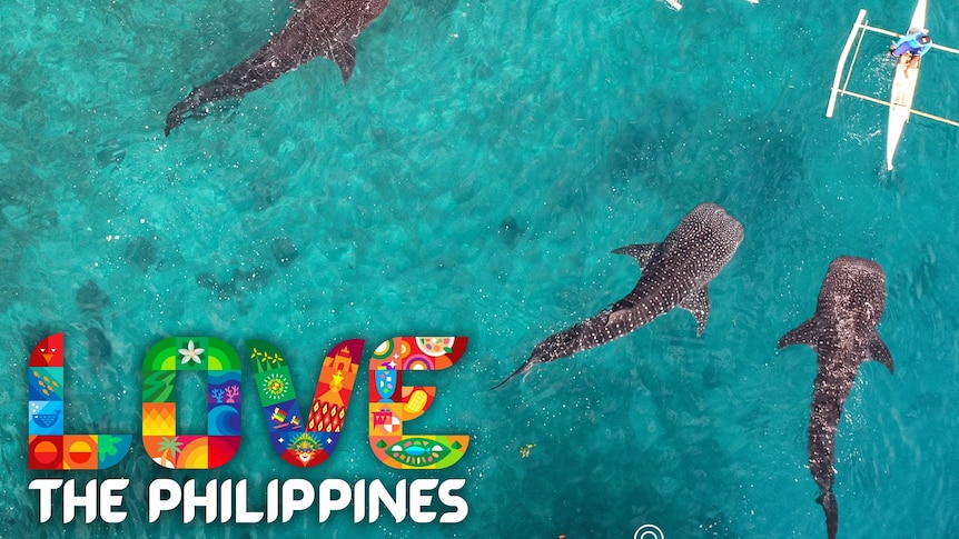 An aerial view of catamarans and large whales in clear blue-green water with colourful 'Love the Philippines' logo.