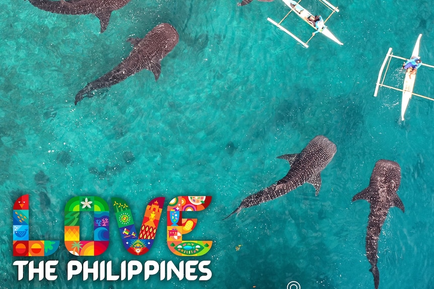An aerial view of catamarans and large whales in clear blue-green water with colourful 'Love the Philippines' logo.