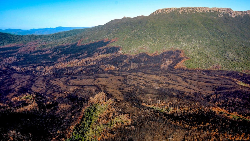 Damage to Mount Bobs from Gell River fire by Rob Blakers