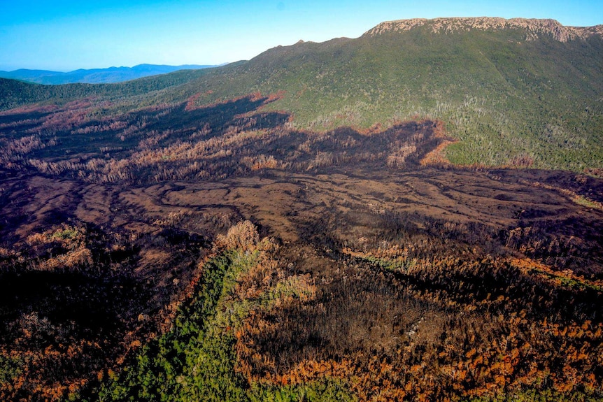 Damage to Mount Bobs from Gell River fire by Rob Blakers