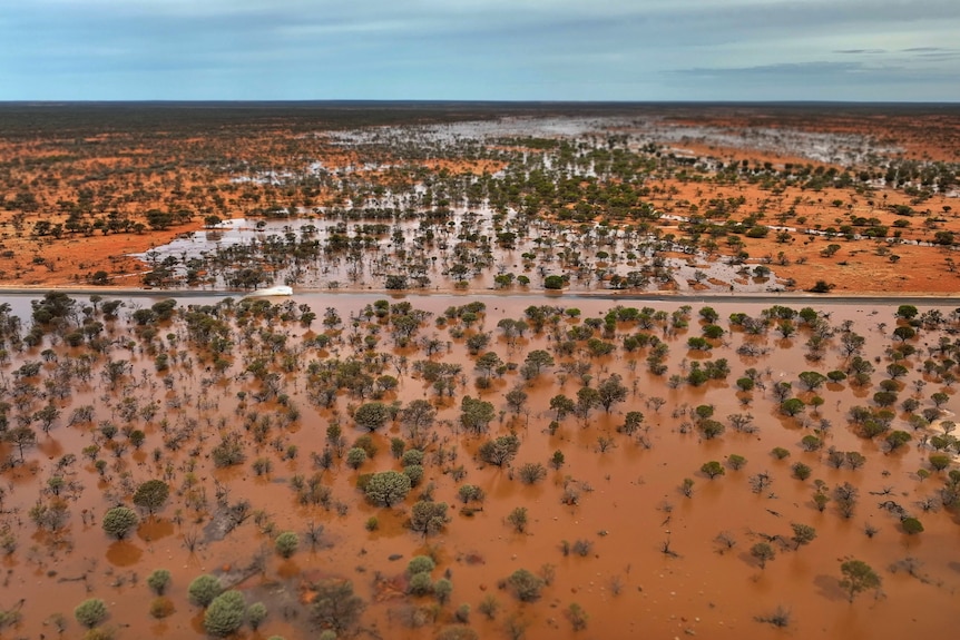A flooded outback road with red soil and shrubs lying under water under a blue sky.