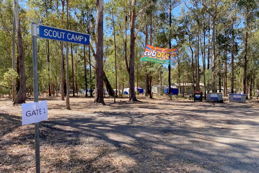 Scout camp in the bush