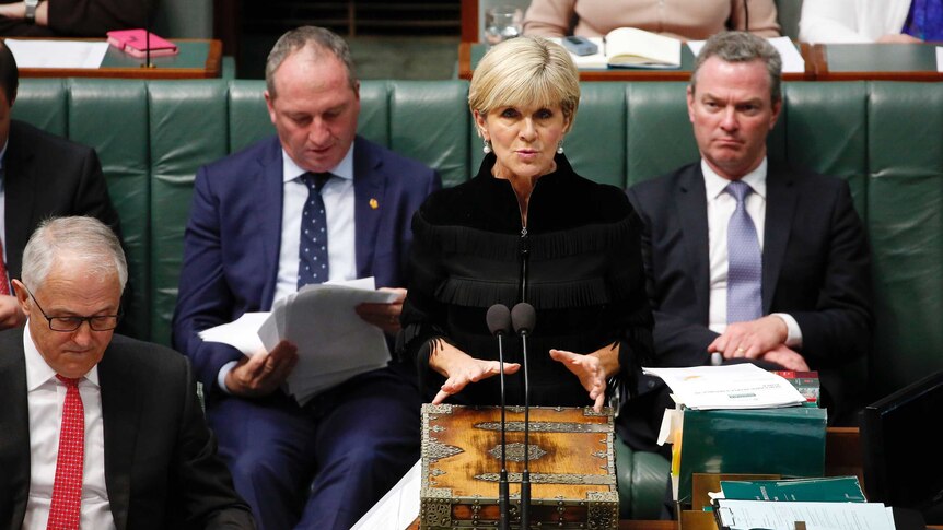 Foreign Minister Julie Bishop speaking in Question Time