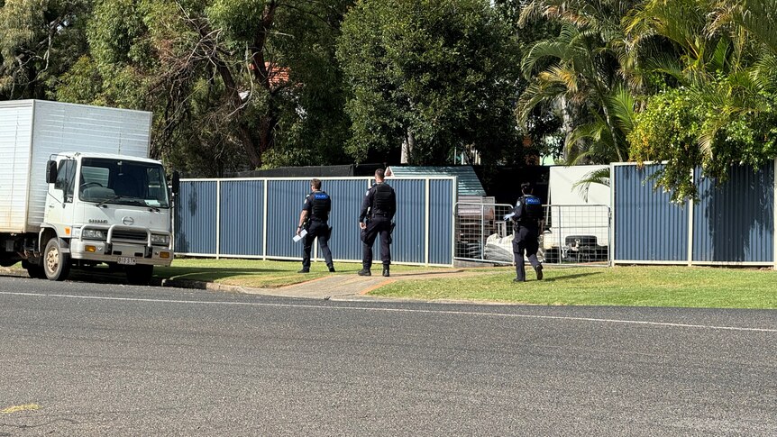 Three police officers walk down a suburban street.
