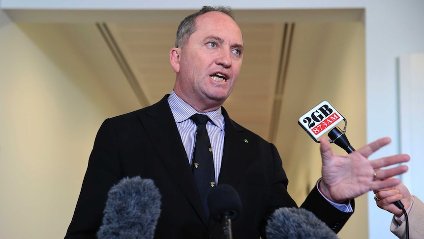 Barnaby Joyce raised a hand as he speaks to press outside Parliament House.