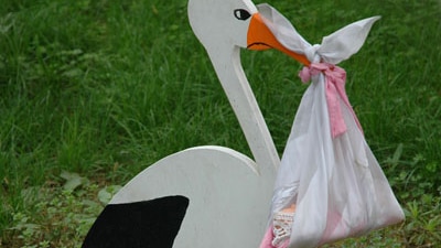Stork delivering baby