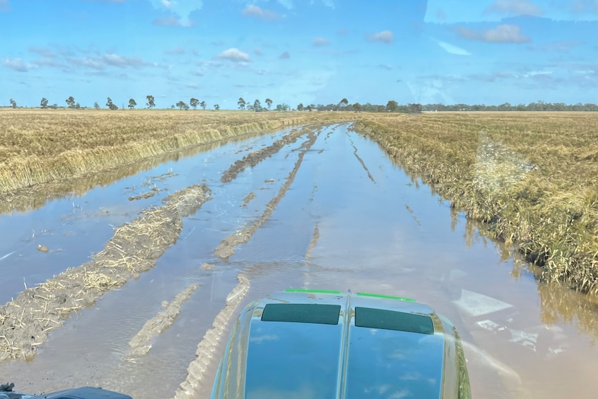 Sam flooded crop