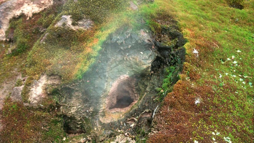 Volcanic steam rises out of a fumarole on the Antarctic South Sandwich Islands.