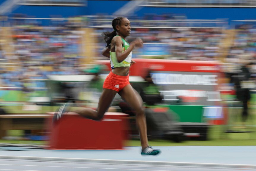 Almaz Ayana runs during 10000m final