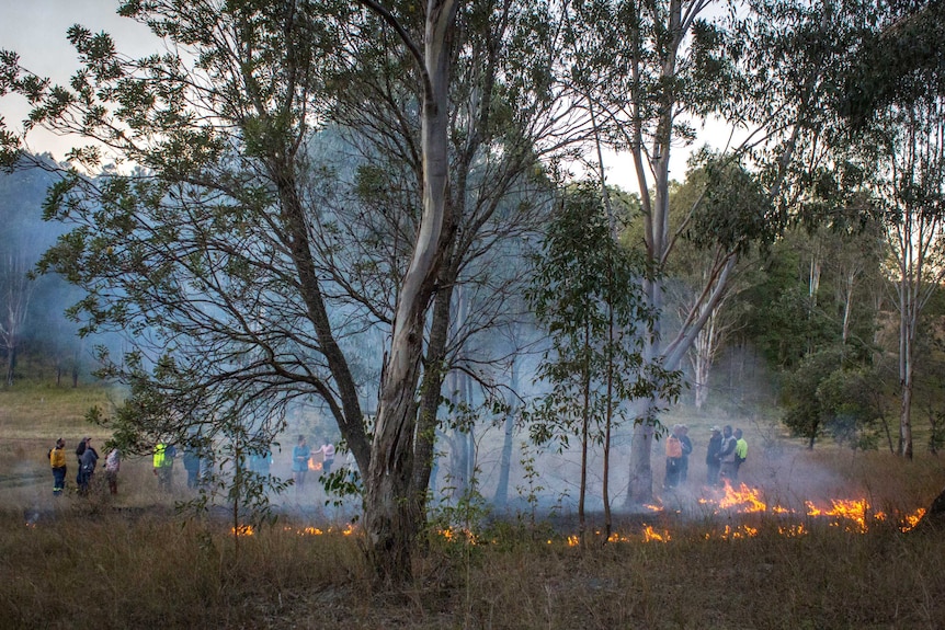 A group of people standing around a gun tree ringed by fire.