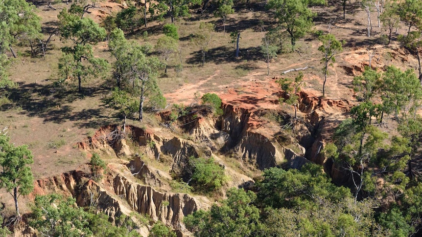 Erosion in a gully at Springvale