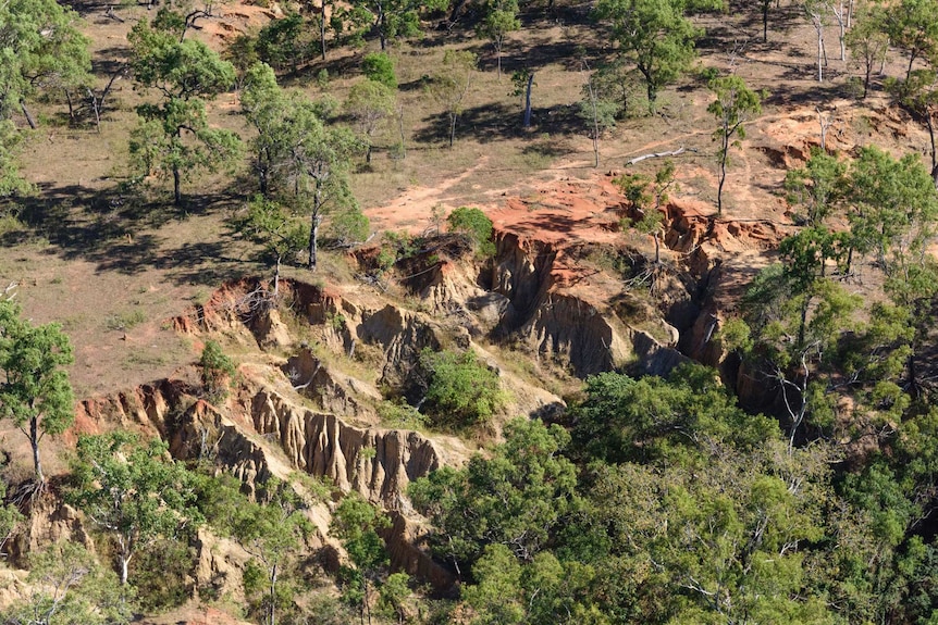 An example of gully erosion in the upper Normanby catchment.